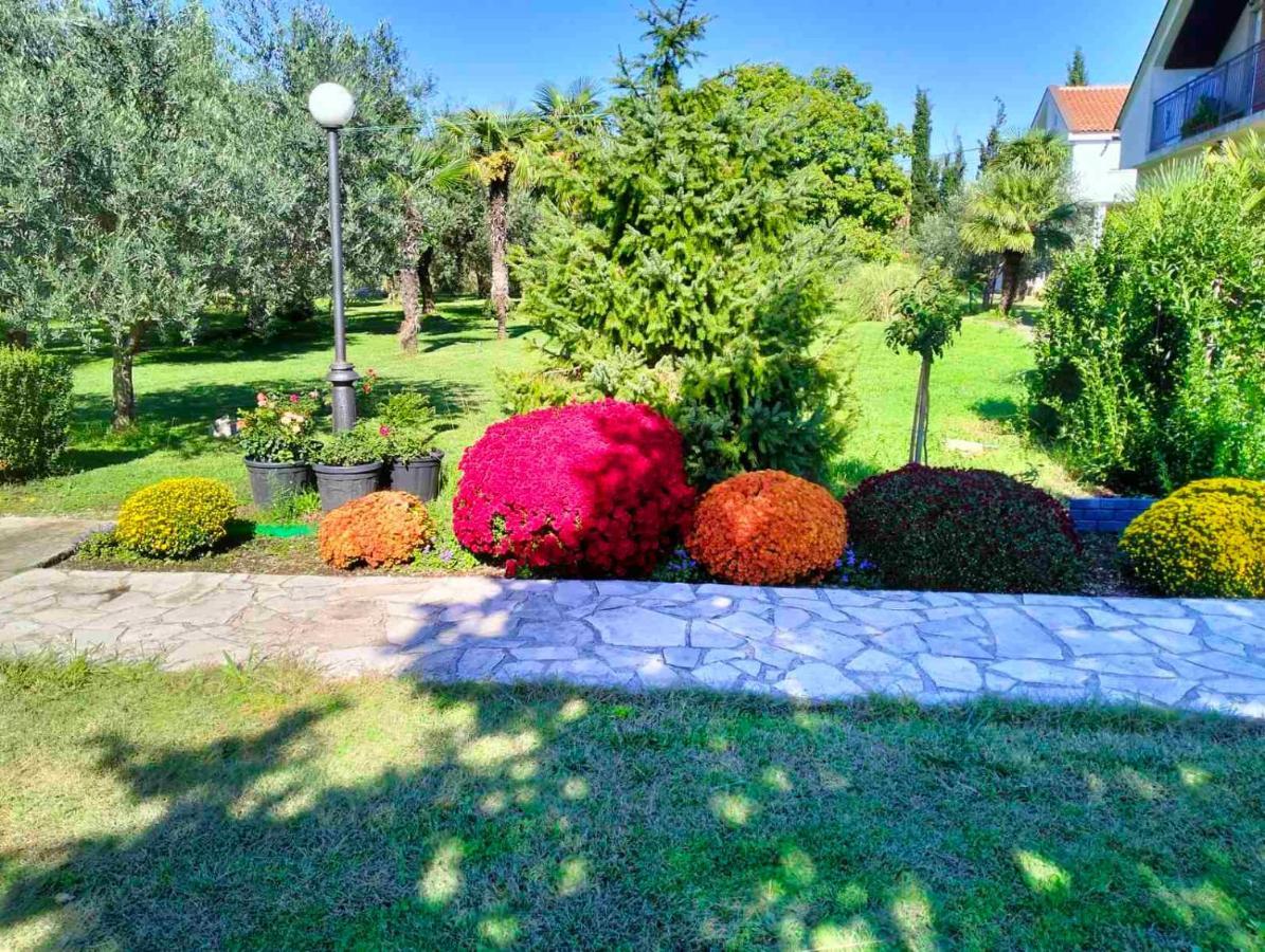 Olive Apartment Podgorica Exterior foto