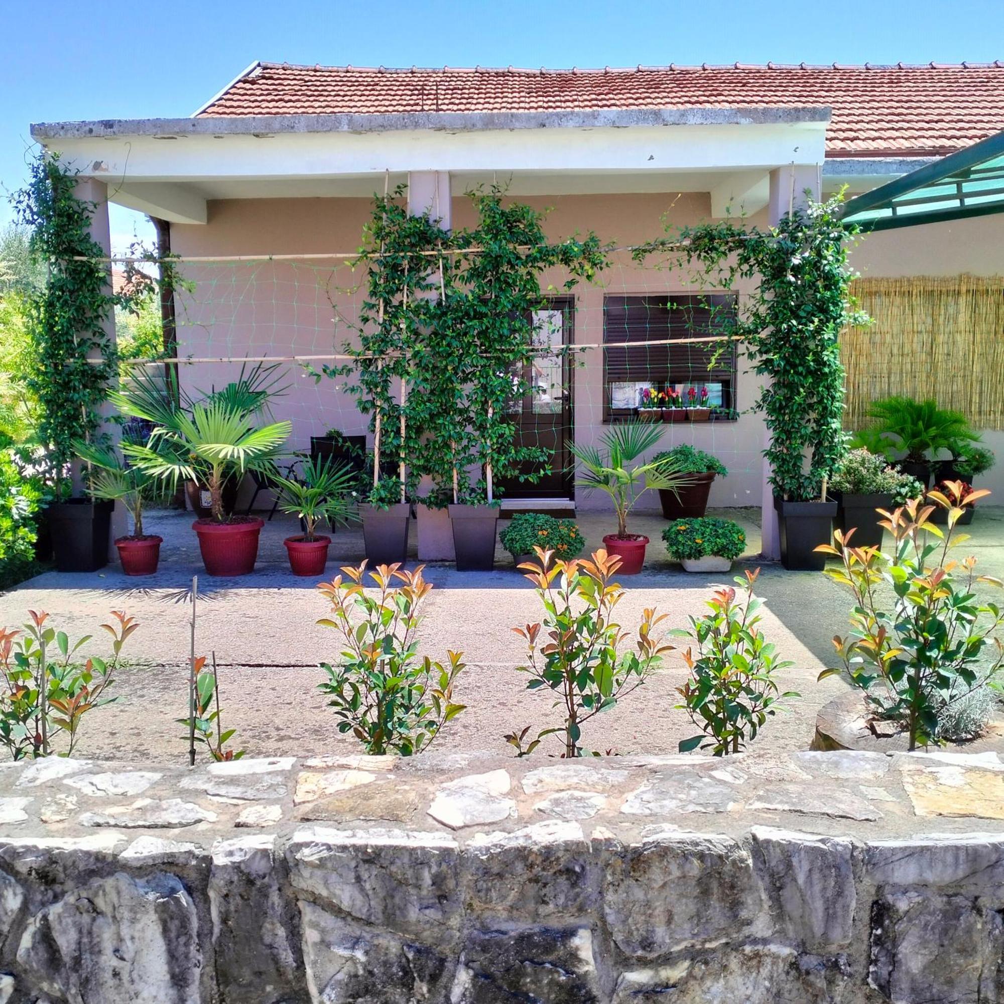 Olive Apartment Podgorica Exterior foto